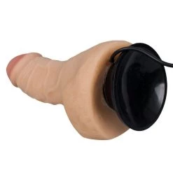 Cheap 🔥 Bondara Dick Dance 8 Function Rotating Vibrating Dildo ? 9 Inch 🥰 -Sex toys Shop unnamed file 1072