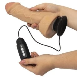 Cheap 🔥 Bondara Dick Dance 8 Function Rotating Vibrating Dildo ? 9 Inch 🥰 -Sex toys Shop unnamed file 1073