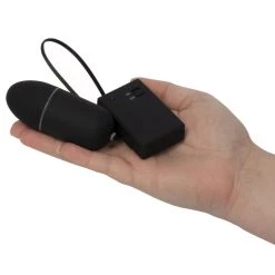 Budget β Bondara Cum First Remote Control Vibrating Love Egg π 7 Budget β Bondara Cum First Remote Control Vibrating Love Egg π -Sex toys Shop unnamed file 390