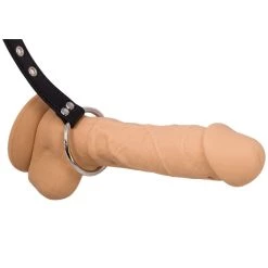 Wholesale ✔️ Bondara Dominator Faux Leather Chain Nipple Clamps & Cock Ring ✔️ -Sex toys Shop unnamed file 815